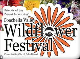 Coachella Valley Wildflower Festival