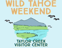 Wild Tahoe At Taylor Creek