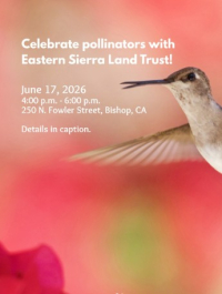 Pollinator Mixer