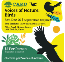 Voices Of Nature:  Birds